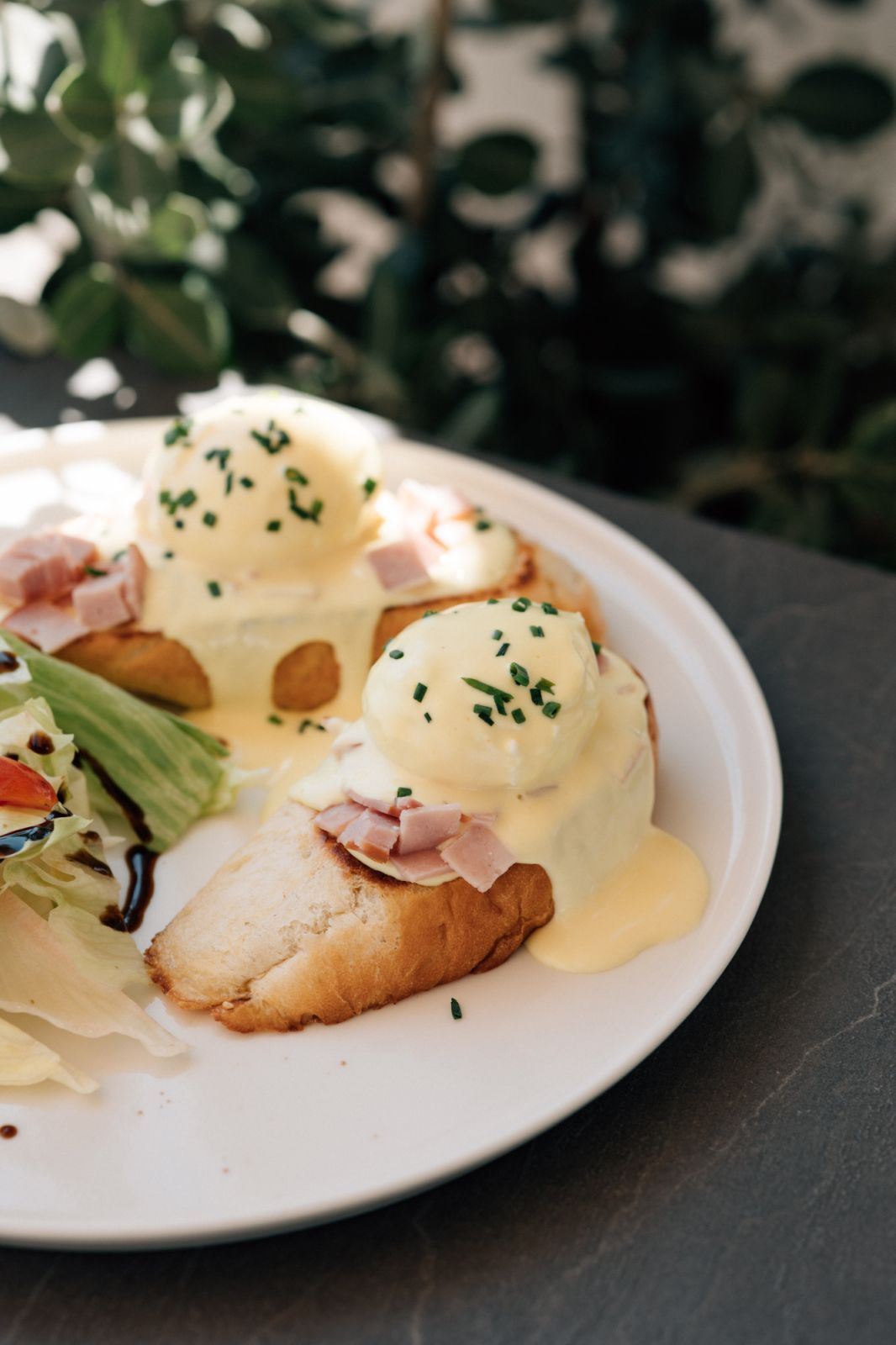 Eggs Benedict